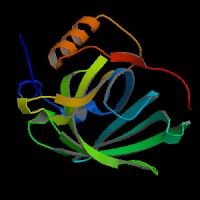 視黃醇結合蛋白