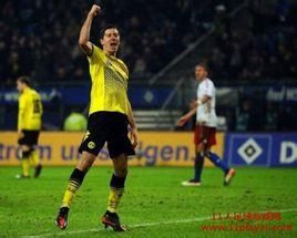 弗里索尼 弗里索尼