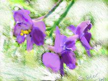 朱沙[作家、畫家，記者]