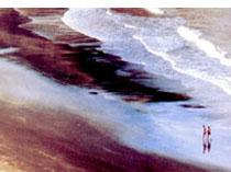 黑沙踏浪 黑沙踏浪