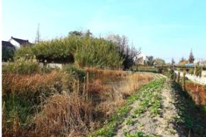 梁垛土山 梁垛土山