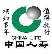 創新型人壽保險 創新型人壽保險