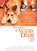 《都是戴西惹的禍》 《都是戴西惹的禍》