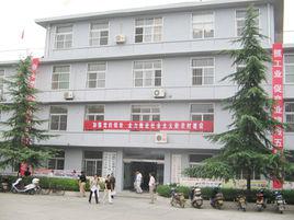 五里鎮[陝西省安康市五里鎮]