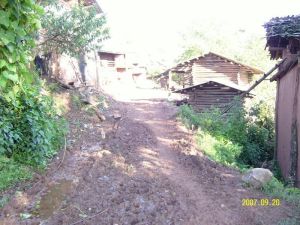 半坡上自然村 半坡上自然村