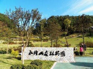 永隆山森林公園 永隆山森林公園