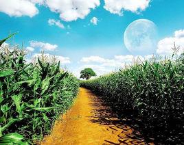 李大壯結婚 李大壯結婚