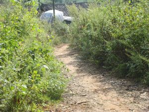 黃草嶺一村 黃草嶺一村