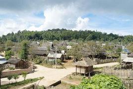 大寨村[景洪市勐龍鎮勐宋村委會大寨村]