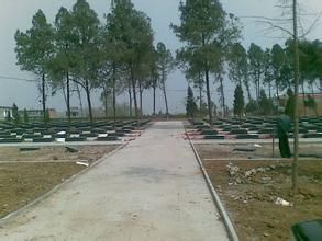 晁陂烈土陵園 晁陂烈土陵園