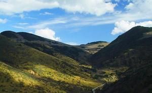 上海飛揚旅行社有限公司