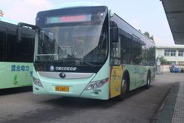 寧波公交4路