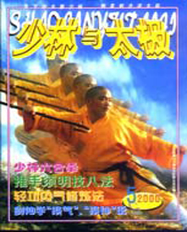 《少林與太極》