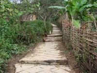 瑤人山自然村 瑤人山自然村