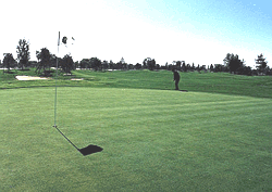 大圍河回族滿族鄉