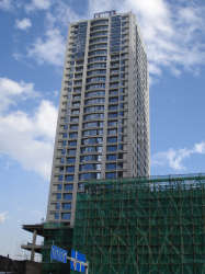 江東好世界 江東好世界