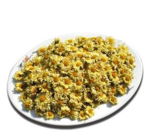 滁州貢菊 滁州貢菊