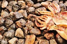 火山石烤魷魚