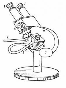 阿貝折光儀 阿貝折光儀