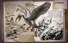 方舟：生存進化