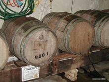 葡萄酒酒泥陳釀