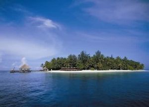 馬爾地夫魔芋島