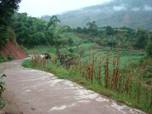 林家山村 林家山村