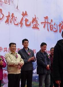 在那桃花盛開的地方[2011年萬妮恩主演電視劇]