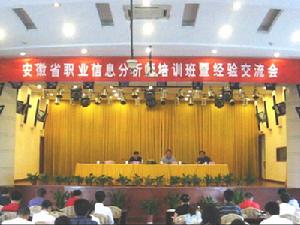 職業信息分析師