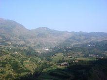 茶坊村[雲南省昭通市彝良縣柳溪鄉下轄村]