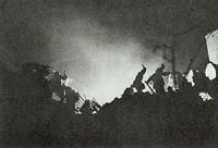 巨金魚戰役 巨金魚戰役