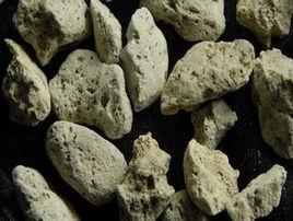 浮海石[浮海石]