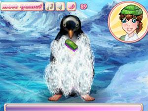 照顧企鵝 照顧企鵝