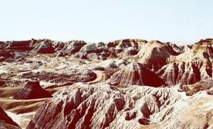 彩繪沙漠 彩繪沙漠