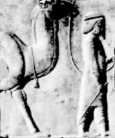 巴克特里亞王國