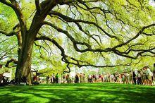 奧古斯塔國家高爾夫球俱樂部