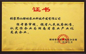 湖南省龍頭企業證書