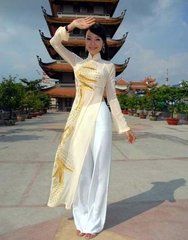 越南新娘經濟