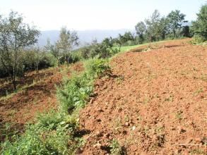 白雞箐村 白雞箐村