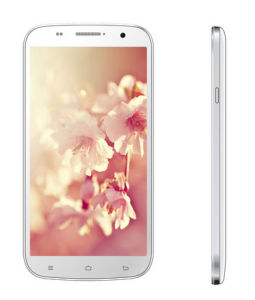 卓普大黑 卓普大黑