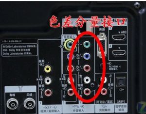 色差分量接口 色差分量接口