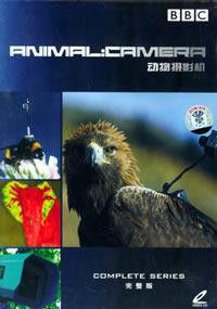 動物攝影機 動物攝影機