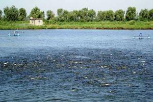 水產類專業 水產類專業