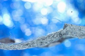 所謂的一氧化二氫就是水