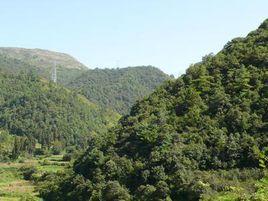 華溪村[雲南省玉溪市華寧縣華溪鎮華溪村]