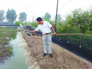 孫建國[南京帥豐飼料有限公司創始人]