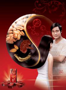 羅嘉良傾情代言澳雪HD漢方仙草去屑洗髮露