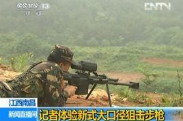 10式大口徑反器材狙擊步槍 10式大口徑反器材狙擊步槍