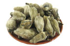 辛夷[木蘭屬植物的花蕾]