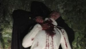 R級血漿 R級血漿